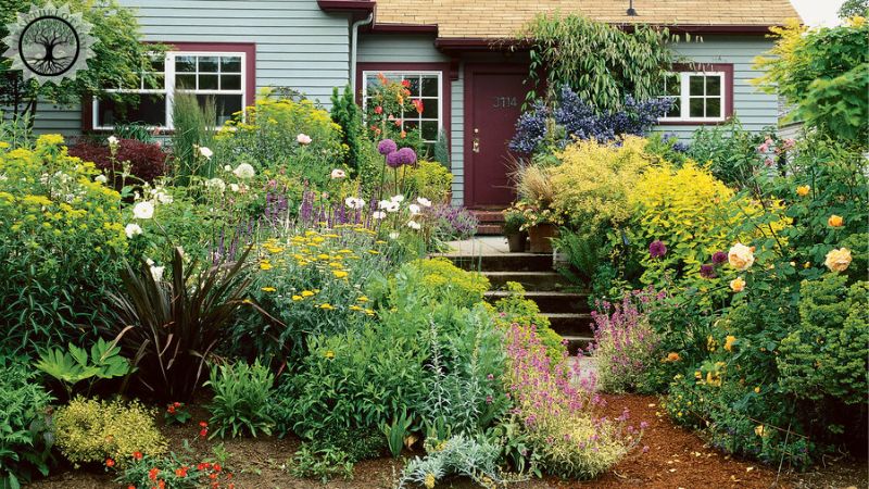 Customized garden clearance plans to fit your specific needs and budget